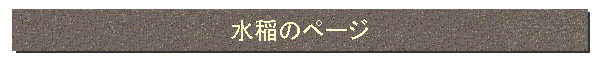 ̃y[W