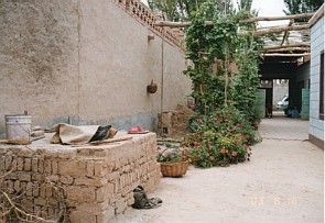 �g���t�@���̔_�Ƃ̒���