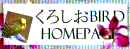 낵Bird HomePage