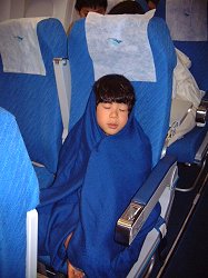 ET�̂悤�ɐQ�邩�������