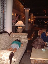 �z�e���ɓ���