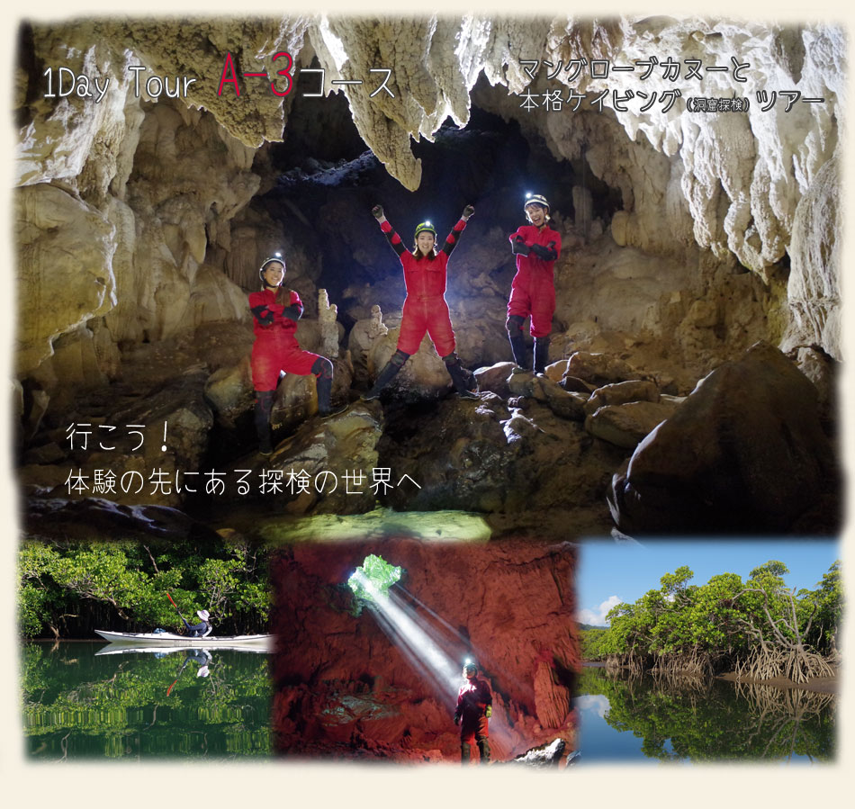 西表島ケイビング（洞窟探検）ツアーとマングローブカヌーツアー