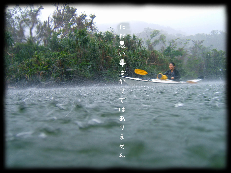 西表島マングローブカヌー雨