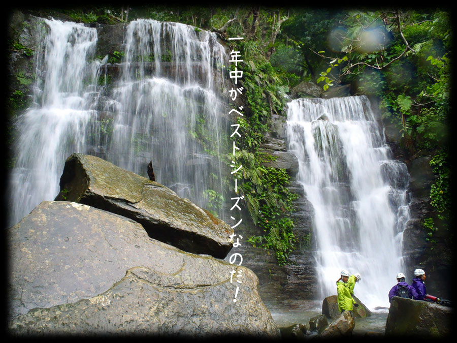 西表島秘境の滝