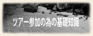 参加基礎知識