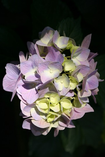 ����������