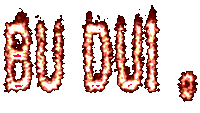 BU DUI B
