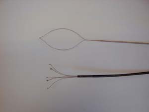 �������@��Q