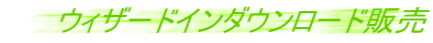 EBU[hC_E[h̔