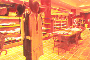 �Ԓ��̕ǂƃ����K�̏����V�b�N�ȃs���N�n�E�X