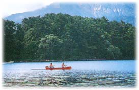 �΂ł̃J�k�[�̌�