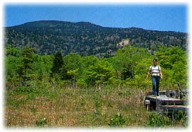 �f�R���g���b�L���O