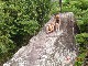 DSC01203_thumb.jpg