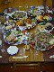 DSC01214_thumb.jpg