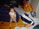 DSC01279_thumb.jpg