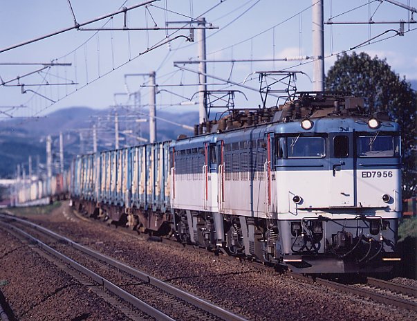 ED79-50�ݕ����