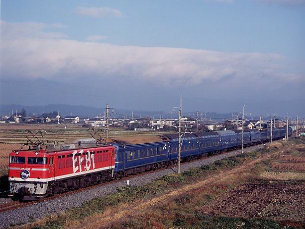 EF81-95