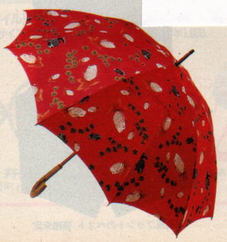 �������̎P