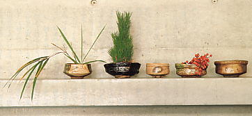 備前や織部に、松、笹、南天