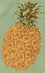 �p�C�i�b�v���P�X�X�O