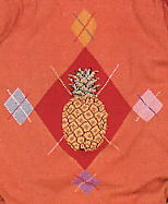 �p�C�i�b�v���{�A�[�K�C��