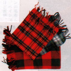 �^�[�^���̃}�t���[�ƃu���b�N�`�F�b�N�̖ѕz