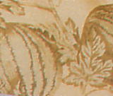 �X�C�J�i���j